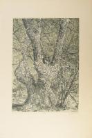 ifj. Imre István (1950-): Tanúfa 1. (vagy "Banyafa"). Rézkarc, papír, jelzett. Művészpéldány E/A jelzéssel. 39,5x29,5 cm