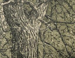 ifj. Imre István (1950-): Tanúfa 1. (vagy "Banyafa"). Rézkarc, papír, jelzett. Művészpéldá...