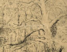 Láng Rudolf (1904-1991): Kidőlt fa. Rézkarc, papír. Jelzett. 29x39 cm