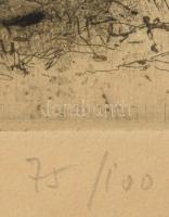 Láng Rudolf (1904-1991): Kidőlt fa. Rézkarc, papír. Jelzett. 29x39 cm