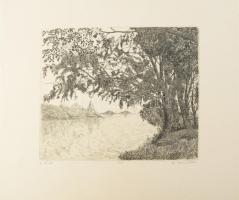 ifj. Imre István (1950-): A tónál. Rézkarc, papír, jelzett. Művészpéldány E/A jelzéssel. 24,5x29,5 cm