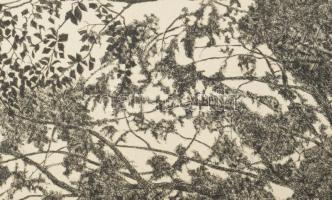 ifj. Imre István (1950-): A tónál. Rézkarc, papír, jelzett. Művészpéldány E/A jelzéssel. 24,5x29,5 c...