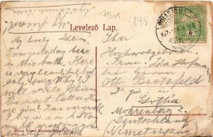 1907 Csíz, Csízfürdő, Cíz Kúpele; Horváth nyaraló, Első Csízi Bazár (Fogel Mór fiókja), üzlet. Szűcs...