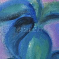 Szűcs Edit (1968-): Csendélet. Akvarell, papír. Jelzett. Paszpartuban. 29x19,5 cm