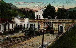 Targu Ocna, Aknavásár; Intrarea in Saline. David Stern / entrance to the salt mine, industrial railway, tunnel (fa)