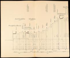 ca 1895 A Székely Vasutak és M. kir. Államvasutak által épített Szászrégen-mádéfalvai vonal hosszelv...