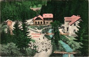 1909 Körmöcbánya, Kremnitz, Kremnica; Vadászkürt szálloda, birkanyáj. Paxner J. és Biron H. kiadása / hotel, flock of sheep (EK)