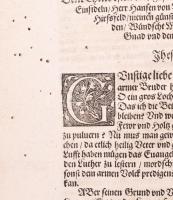 [Luther Márton: Der Erste Teil aller Buecher vnd Schrifften des thewren seligen Mans Doct: Mart: Lut...