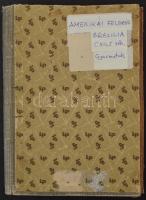 Az amerikai kontinens bélyegei, csak teljes kiadások, köztük 120 db brazil, összesen 219 db bélyeg 8...