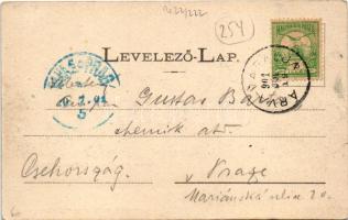 1901 Árvaváralja, Árva-Váralja, Oravsky Podzámok; Árva vára délről. Sochán P. 41. sz. / castle