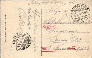 1915 Nagymihály, Michalovce; Gróf Sztáray kastély. Ifj. Grünwald Mór kiadása / castle (fa)