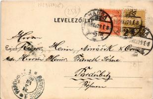 1903 Kassa, Kosice; Franck kávépótló gyár. Nyulászi Béla kiadása / Franck coffee substitute factory ...