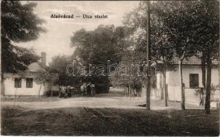 Alsóvárad, Dolní Várad, Dolny Hrádok (Barsvárad, Tekovsky Hrádok); utca részlet. Fogyasztási szövetkezet kiadása / street view (EK)