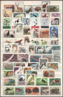 Szovjetunió 1957-1981 20 klf állat sor, köztük vágott is, összesen 102 db bélyeg + 1 db blokk, A/4-es berakólap mindkét oldalán