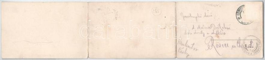 Lviv, Lwów, Lemberg; 3-tiled folding panoramacard. Jan Bromilski (torn at fold)