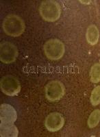 Fazék. Alföld, cca 1900, kis mázsérüléssel, m: 15 cm