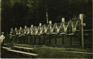 1914 Skole, Sokoli kurs gimnastyczny w Skolem / Sokol gymnastics course. Fot. Prof. K. Eljasz (EK)