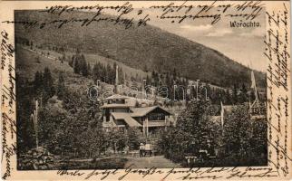 1905 Vorokhta, Worochta, Worochsie, Vorohta; park (fl)