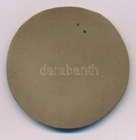 1984. "1884 Pallas Nyomda - Kossuth Nyomda 1984" egyoldalas, öntött bronz emlékérem, erede...