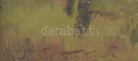 Kézdi Kovács László (1864-1942): Hazafelé. Olaj, karton, jelezve balra lent. Kézdi Kovács László aut...