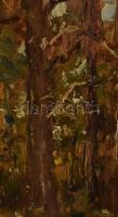 Bruck Lajos (1846-1910): Erdőrészlet. Olaj, fa, hátoldalon "Bruck Lajos hagyatéka" raglapp...