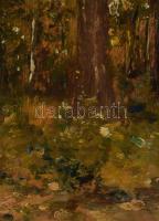 Bruck Lajos (1846-1910): Erdőrészlet. Olaj, fa, hátoldalon "Bruck Lajos hagyatéka" raglapp...