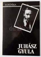 Tasi József (szerk.): "Fekete album szürke erdejében". Juhász Gyula összes fényképe (ikonográfia). Bp., 1998, Magyar Irodalmi Múzeum.
