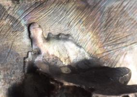 Ezüst (Ag) szecessziós szalvétatartó, lába javított, jelzett, 10x6,5 cm, nettó 48g