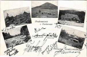1899 Tatariv, Tatariw, Tartarów, Tatarów; Szczyt Chomiaku, Pod Chomiakem, Chata Edmundowa, Cerkiew, Dolina / mountain peak, tourist house, valley, wooden church (cut)