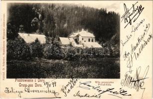 1899 Dora, Dory; Wila prynwatna / Privat-Villa / private villa. D. Schreier (Stanislawów)