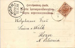 1899 Dora, Dory; Wila prynwatna / Privat-Villa / private villa. D. Schreier (Stanislawów)