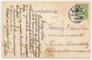 1915 Zilah, Zalau; Meszes-hegyi részlet, teherautó. Seres Samu kiadása / Vedere partiala de pe Meses...