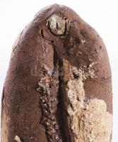 Gorka Lívia (1925-2011): Gesztenyeszedő. Kézzel formázott samottos kerámia, belül jelzett: masszába ...