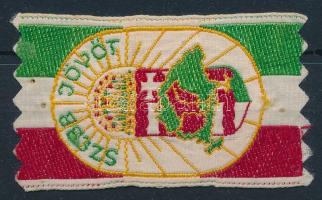 Szebb Jövőt irredenta levente felvarró 3,5x6 cm