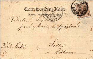 1899 Tarnów, Plac Kazimierza / square, shops of Alojzy Kaempf, Lemberger. Edit. Kamil Baum (EB)