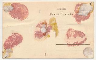 Türkös, Turches (Négyfalu, Sacele); Vedere generala / látkép / general view (ragasztónyomok / glue m...