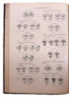 1905 Bányászati és Kohászati Lapok XXXVIII. évfolyam (40. és 41. kötetek. ) A M. Kir. Bányászati Fői...