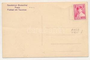 Felek, Freck, Avrig; Park Sanatorium Brukenthal, Freibad mit Tauwiese / szanatórium park/ sanatorium...