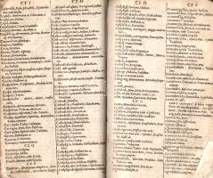 Szenczi Molnár Albert: Dictionarium Ungarico-Latinum. Innumeris vocibus Ungaricis formulisque loquen...