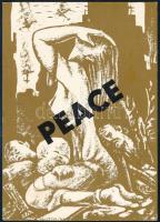 cca 1970 A Budapesti Amerikai Nagykövetségek címzett propaganda képeslap a vietnámi háború elleni tiltakozással