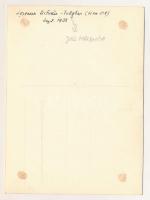 1938 Gyergyótölgyes, Tölgyes, Tulghes; hegymászó / hiker. photo (ragasztónyomok / glue marks)