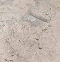 Antik, címeres ón tál. XIX: sz. eleje. 1809-as évszámmal. Pecséttel jelzett. d: 27 cm