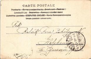 1901 Theresa Feodorowna Ries szobárszművész Mark Twain szobrát készíti / Mark Twain' sculpture ...