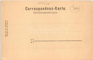 Przemysl, Bau der neuen San Brücke im Jahre 1894. / Budowa mostu na Sanie w roku 1894 construction o...