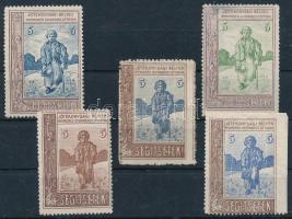 1905 Segítsetek! 5 db klf jótékonysági segélybélyeg nyomdai eltérésekkel