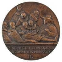 Ifj. Pál Mihály (1936-) DN "Arányi Lajos / Pest Megyei Orvosnapok - Tudományos munkáért II.&quo...