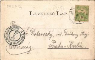 1905 Hatvan, Cukorgyár, gőzmalom. Hoffmann M. L. kiadása (fa)