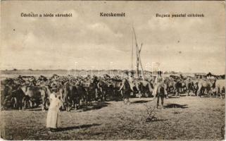 1916 Kecskemét, Bugac pusztai csikósök, magyar folklór. Fekete Gyula kiadása - Üdvözlet a hírös városból (fa)