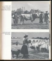 Taar Ferenc: A másik Hortobágy. A szerző, Taar Ferenc (1924-2014) drámaíró, dramaturg, színházigazga...
