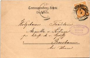 Sarajevo, general view, mosque, Bosnian folklore. Atelier Schädler Art Nouveau, floral (EK)